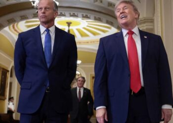 Billionaire megadonor spikes his donations to Senate GOP — for not being MAGA enough