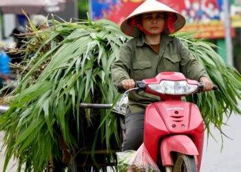 Vietnam is finally a FTSE emerging market—yet it’s the country’s banks, not its exporters, that’ll benefit most