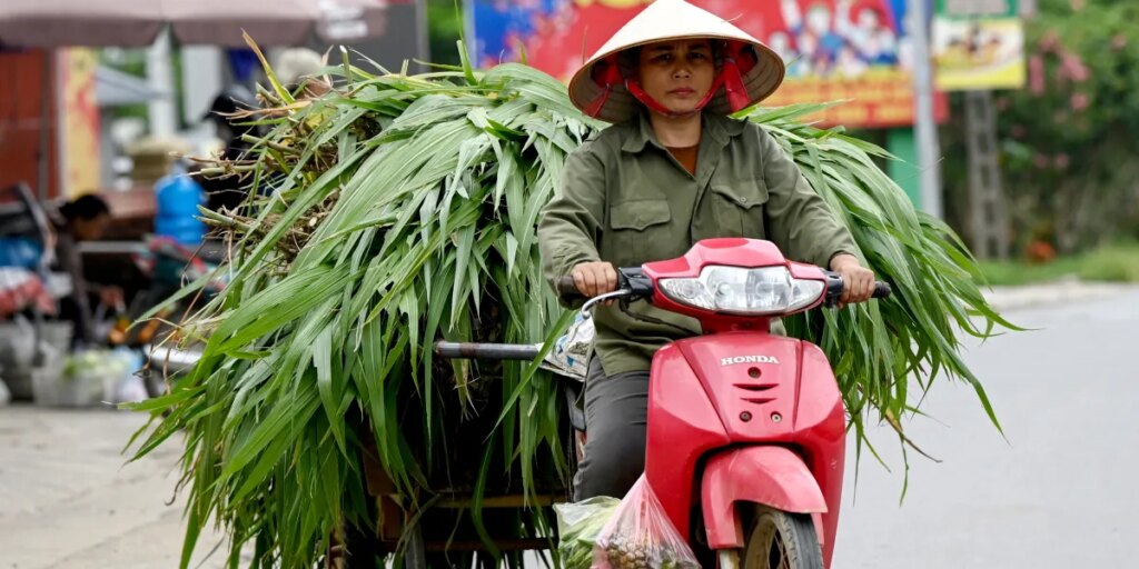 Vietnam is finally a FTSE emerging market—yet it’s the country’s banks, not its exporters, that’ll benefit most