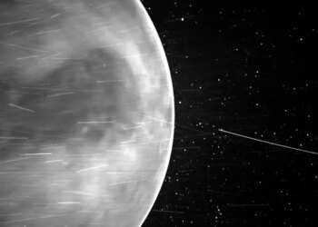 Venus May Have Devoured Its Moon