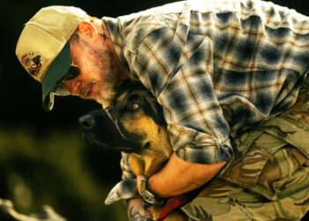 ‘Heart of the Beast’ Review: Brad Pitt Goes Into the Wild