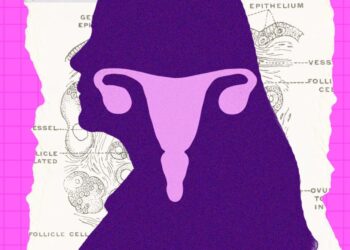 The Ovary Is Surprisingly Active After Menopause. Scientists Are Trying to Figure Out Why