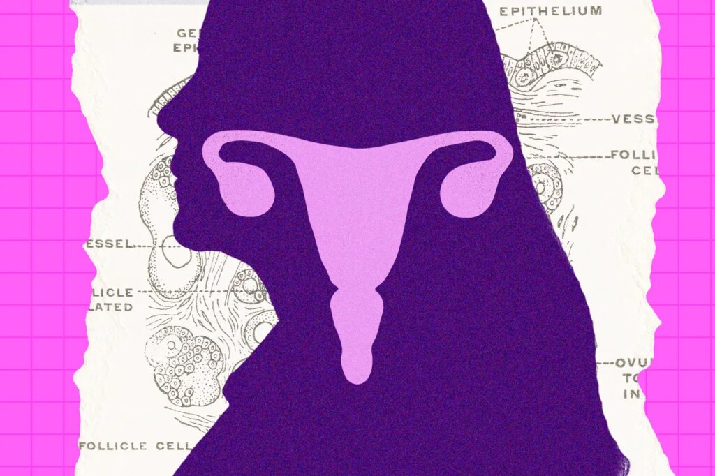 The Ovary Is Surprisingly Active After Menopause. Scientists Are Trying to Figure Out Why