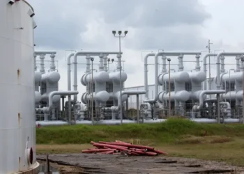 ‘We’ve become dumb!’ GOP at war with itself as Big Oil slams Trump’s diesel plan