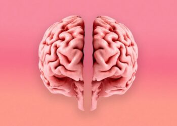 Stanford Scientists Find That the Human Brain Is Actually Two Separate Organs