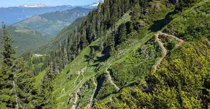 Hiker Is Found Dead on Washington Trail After Fall