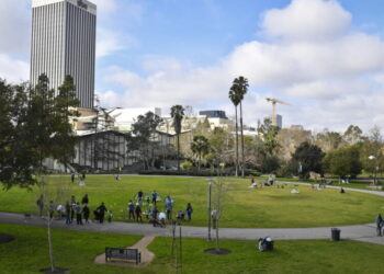 Flea-borne typhus outbreak prompts renewed warnings in Los Angeles County