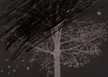 Are Lynchings Really Happening?