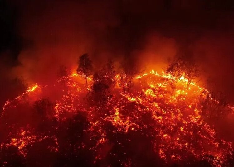 ‘All We Could See Was Red’: The Wildfires Choking Indonesian Borneo