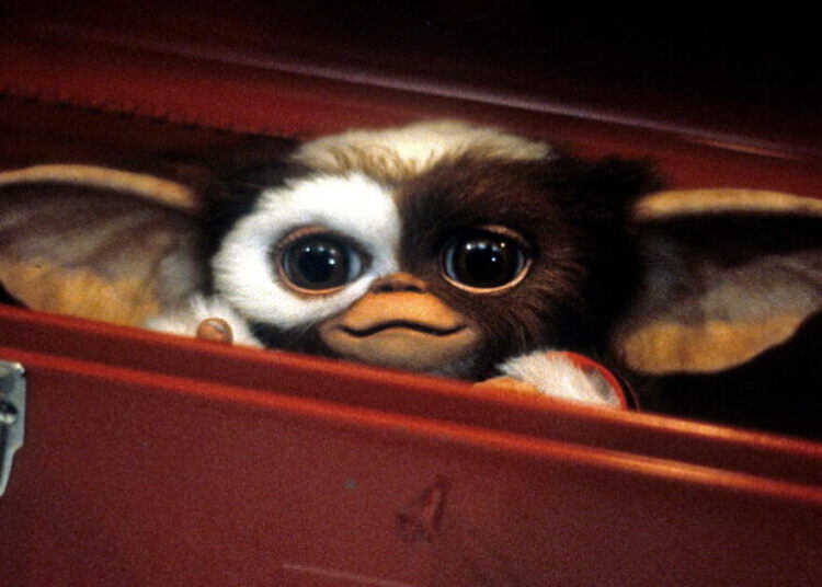 ‘Uh-oh’: Gizmo announces that ‘Gremlins 3’ has been pushed back until 2028