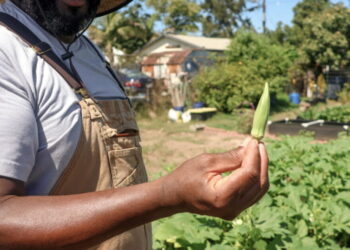 ‘Food is a pathway to freedom’: Black-led collective brings Alabama collards to L.A. tables