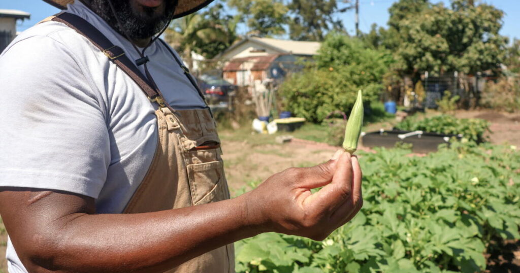 ‘Food is a pathway to freedom’: Black-led collective brings Alabama collards to L.A. tables