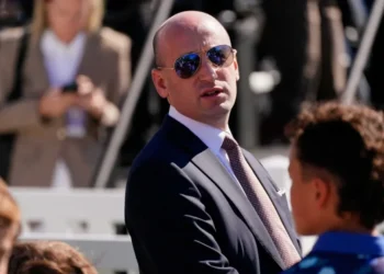 ‘Ghoulish stuff’: Analysts aghast as Stephen Miller’s ‘unconscionable’ plans exposed