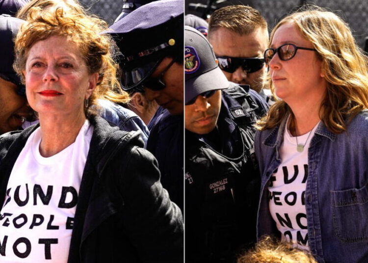 Hannah Einbinder, Susan Sarandon arrested in protest against Netanyahu