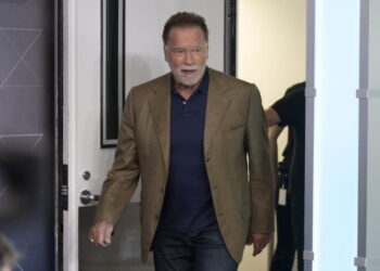 Lawyers seek extra security for Schwarzenegger after opposing attorney’s ‘Terminator’-style post
