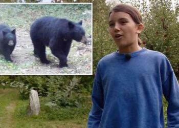 Brave 12-year-old fought off angry black mama bear in backyard: ‘It was fight or die’