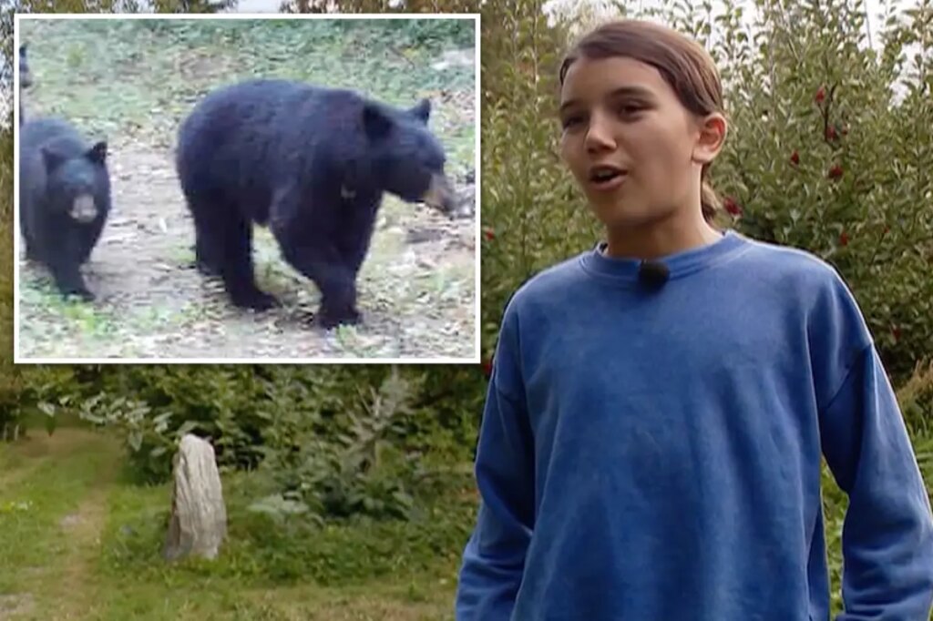 Brave 12-year-old fought off angry black mama bear in backyard: ‘It was fight or die’