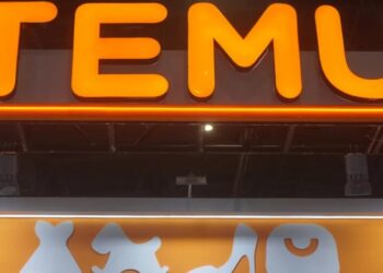 Temu axed its $1 billion network of fake influencer accounts on Meta