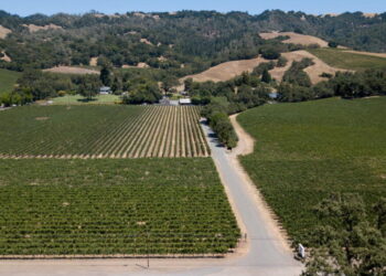 California’s oldest family-owned winery declares bankruptcy as wine industry struggles