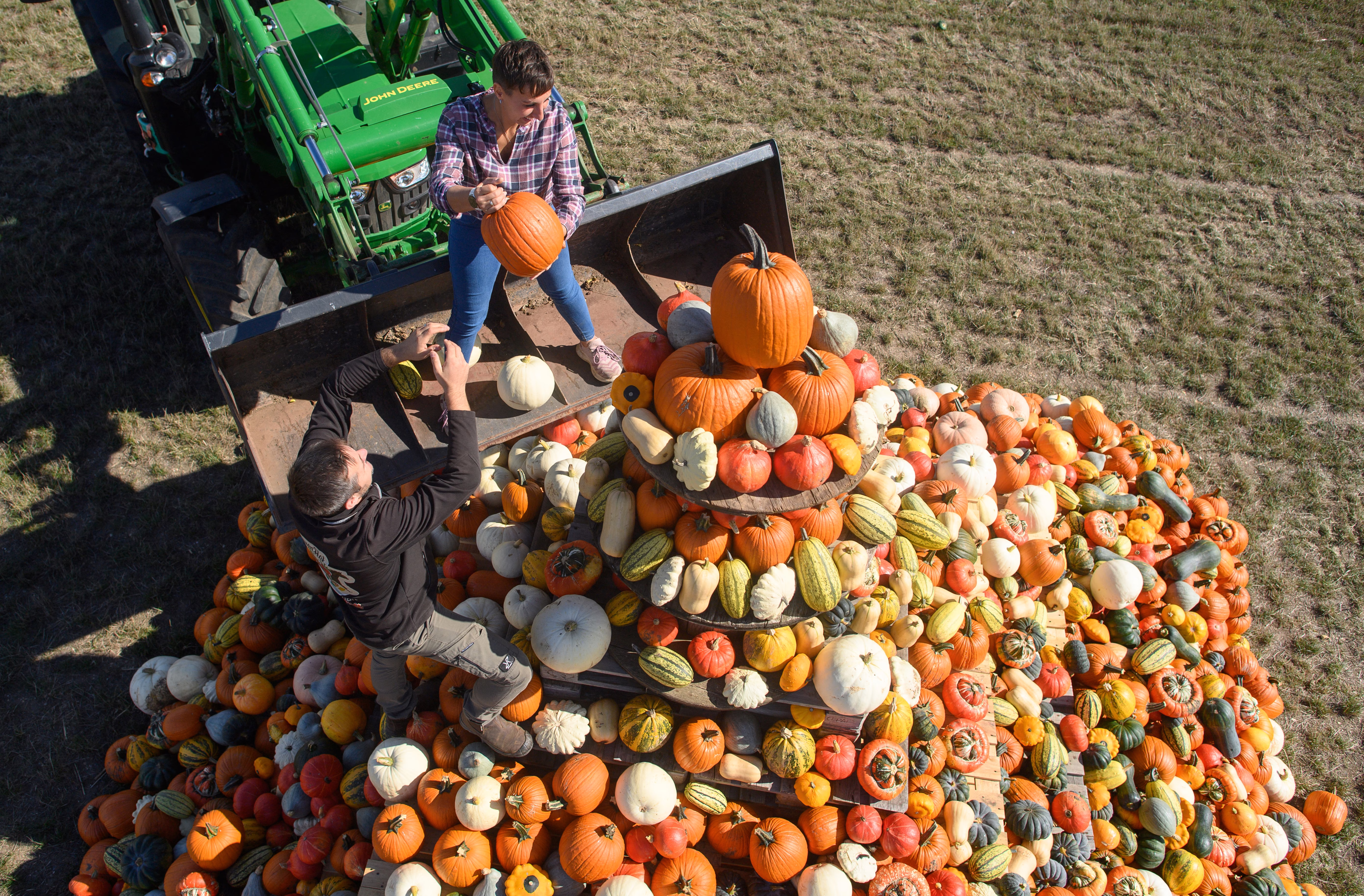 Two people work together, standing on the bucket at the front of a tractor, placing pumpkins and other squash onto a tall pyramid.