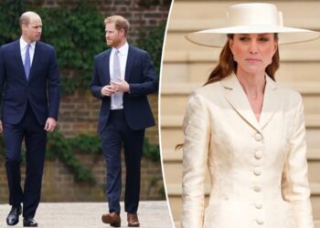 Why Kate Middleton won’t swoop in as ‘peacemaker’ to ‘thaw’ Prince William, Prince Harry’s ‘iciness’: doc