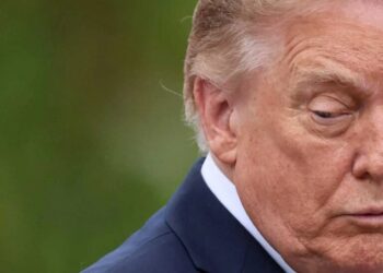 ‘Blockbuster story’ links $50 million pro-Trump contributions to death of major safeguard