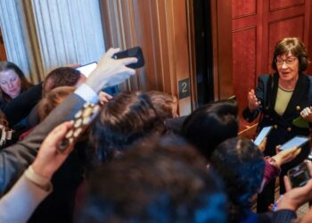 Susan Collins campaign’s corruption defense unravels as university knocks down key claim