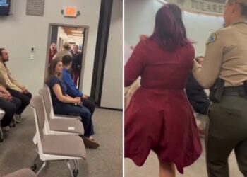Wild moment cop drags woman out of California county meeting after furious clash over data centers