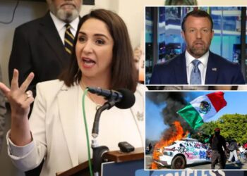 ‘Squad’ Democrat slammed by Trump admin for most ‘radical’ plan targeting ICE yet