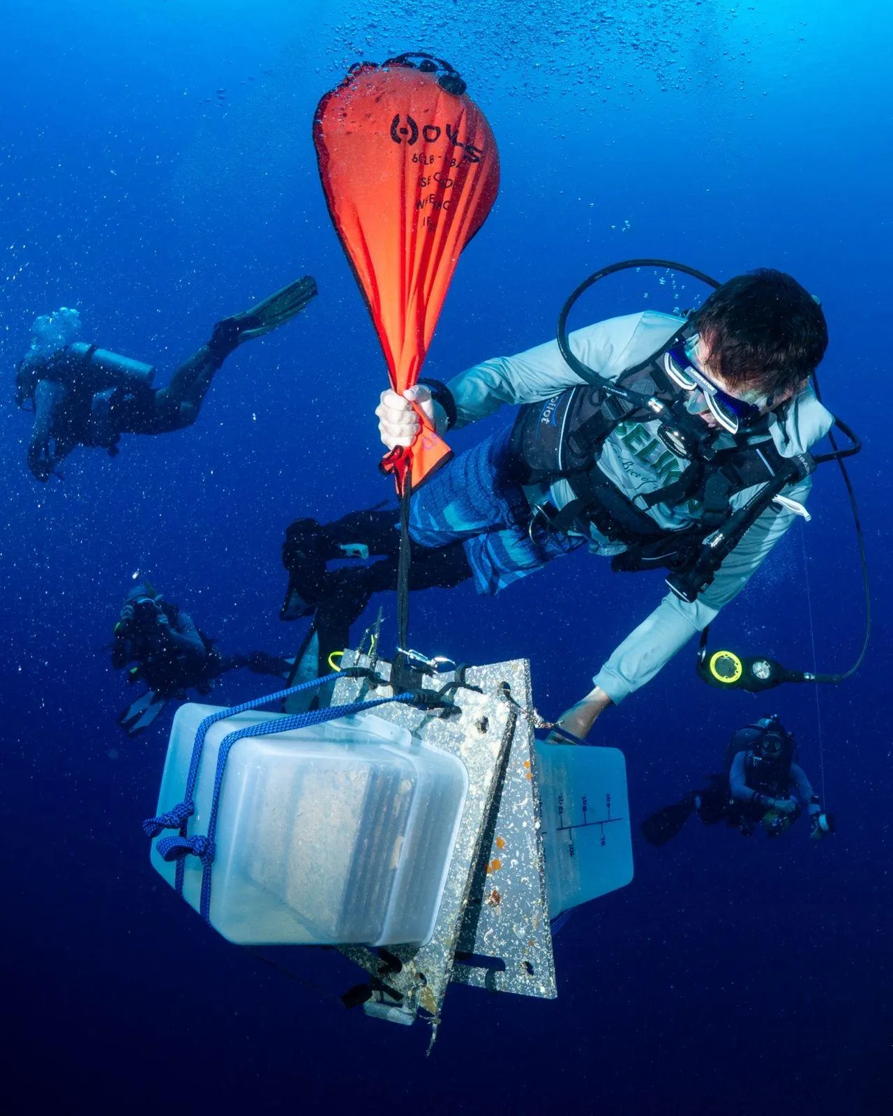 A diver carries a clear tub underwater