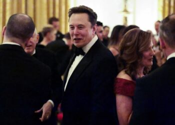 Upcoming doc Elon Musk ‘doesn’t want you to see’ exposes him as a ‘fraud’: journalist