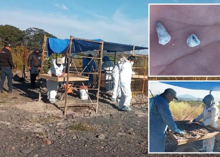 1,600 baby teeth found at mass grave site in Mexico as officials deny knowledge