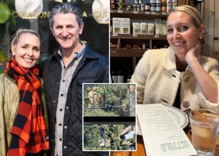 Husband of missing California coffee shop owner Amy Hillyard offers new clues 6 months after her disappearance
