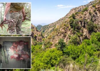 Blood-soaked California poachers arrested after cops make horrifying discovery