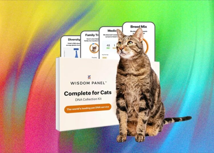 What’s the Best Pet DNA Test? We Tested the Most Popular Ones