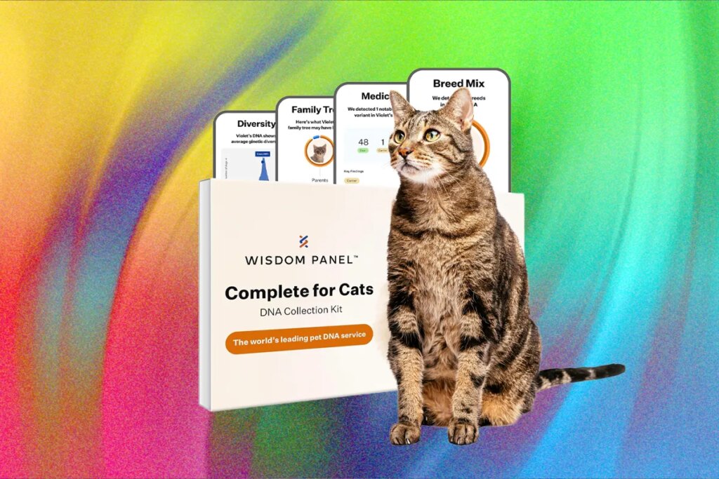 What’s the Best Pet DNA Test? We Tested the Most Popular Ones