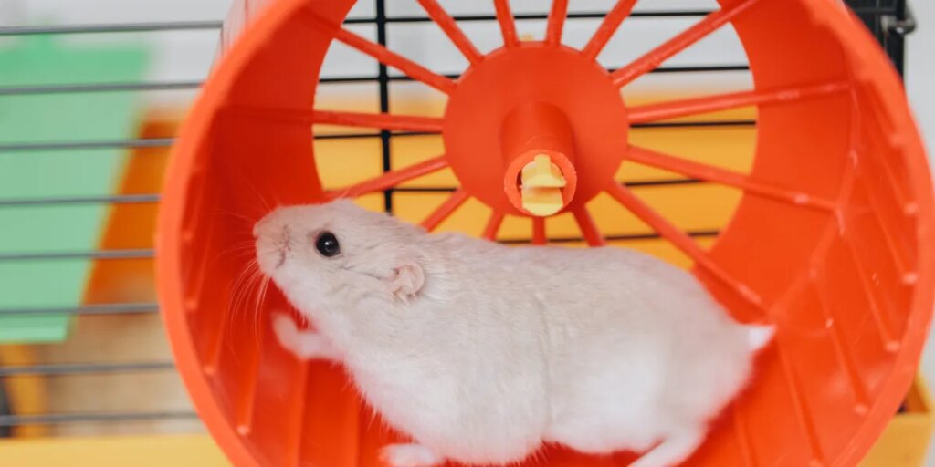 The U.S. economy is running hot and stuck on a hamster wheel as GDP growth must outpace borrowing costs—or else get sucked into a debt spiral 