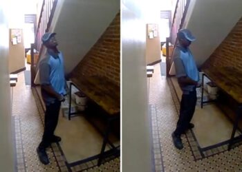 Shocking video shows Amazon delivery driver peeing all over posh NYC apartment lobby