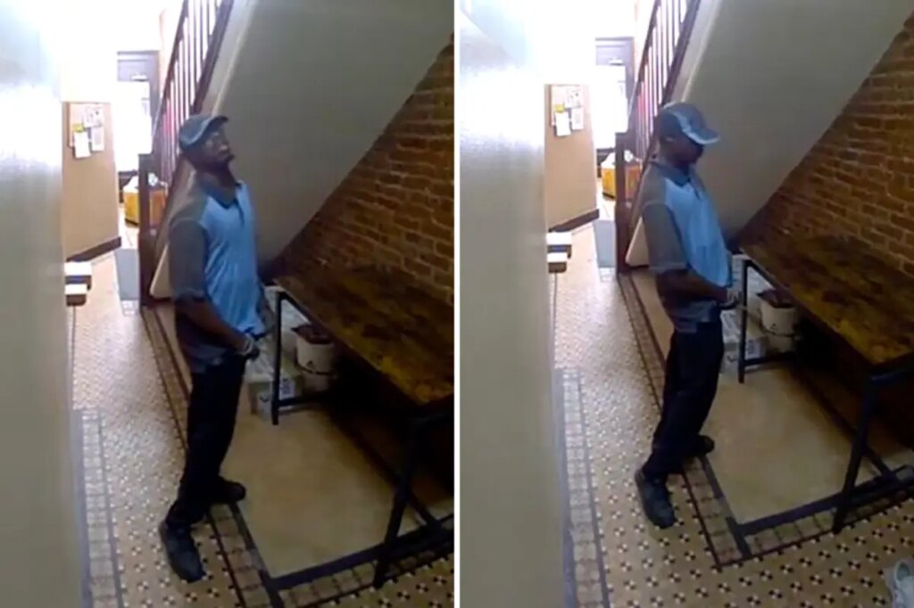 Shocking video shows Amazon delivery driver peeing all over posh NYC apartment lobby