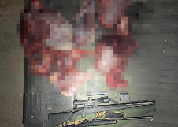 Poaching suspects caught with bloody hands, decapitated deer in Angeles National Forest