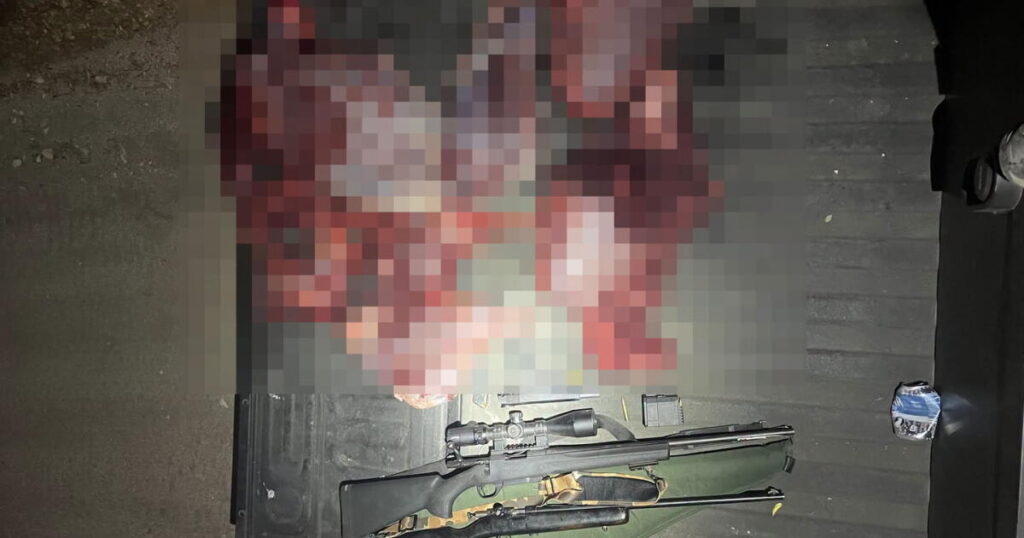 Poaching suspects caught with bloody hands, decapitated deer in Angeles National Forest