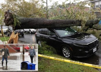 Round 2 of NYC’s nor’easter hits after tree falls on two young kids and leaves surreal scenes: ‘Worst it’s been since Sandy’
