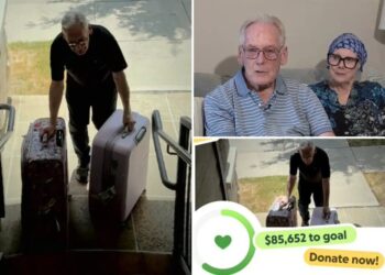 Texas delivery driver Donald Johnson’s viral $700K fundraiser taken down after organizer revealed to be his daughter