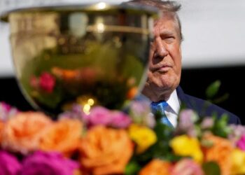 Blistering Fox Business review slams ‘foolish’ Trump plot to bolster midterms