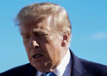 Trump’s most obsessed groupies turn after ‘dagger in heart’ betrayal: ‘A fraud and liar’