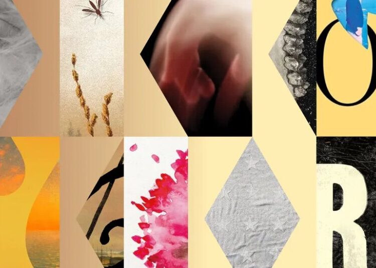 26 Books Coming in October