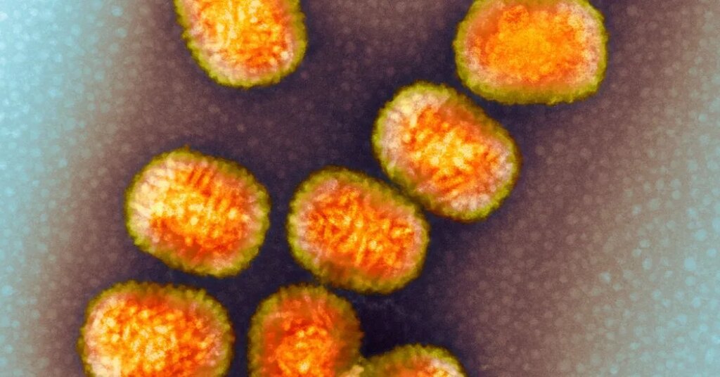 This Virus Stole a Human Gene and Won’t Let Go of It