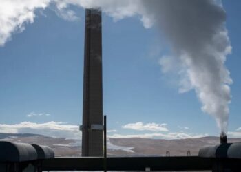 The Coal Industry Asked for a Rescue. Trump Obliged.