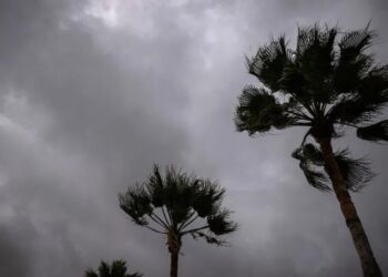 Southwestern U.S. Braces for Heavy Rain From Hurricane Polo