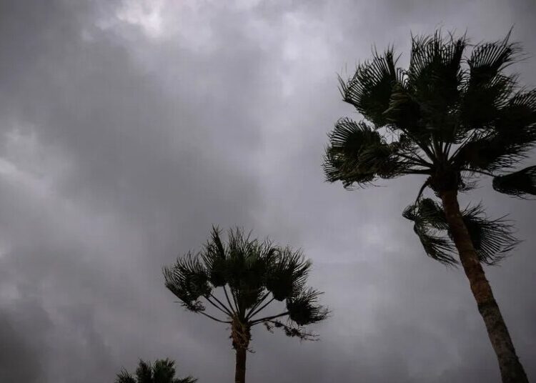 Southwestern U.S. Braces for Heavy Rain From Hurricane Polo